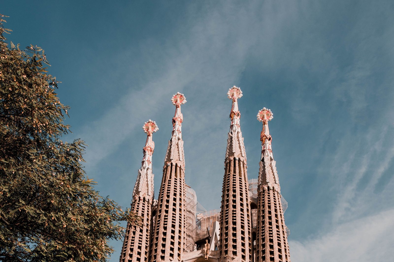 The spires of the Sagrada Familia rising above the trees in Barcelona.